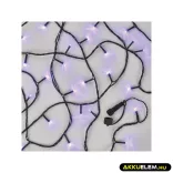 Ünnepi fényfüzér D1AF01 - CNT - 100Led 10m kül/beltéri LILA