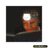 Fejlámpa P3543 LED tölthető medve 80LM