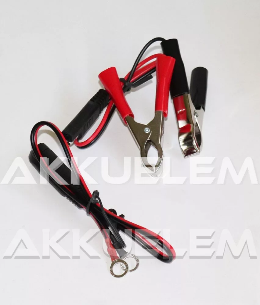 EverActive CBC-1 6/12V motor akkumulátor töltő