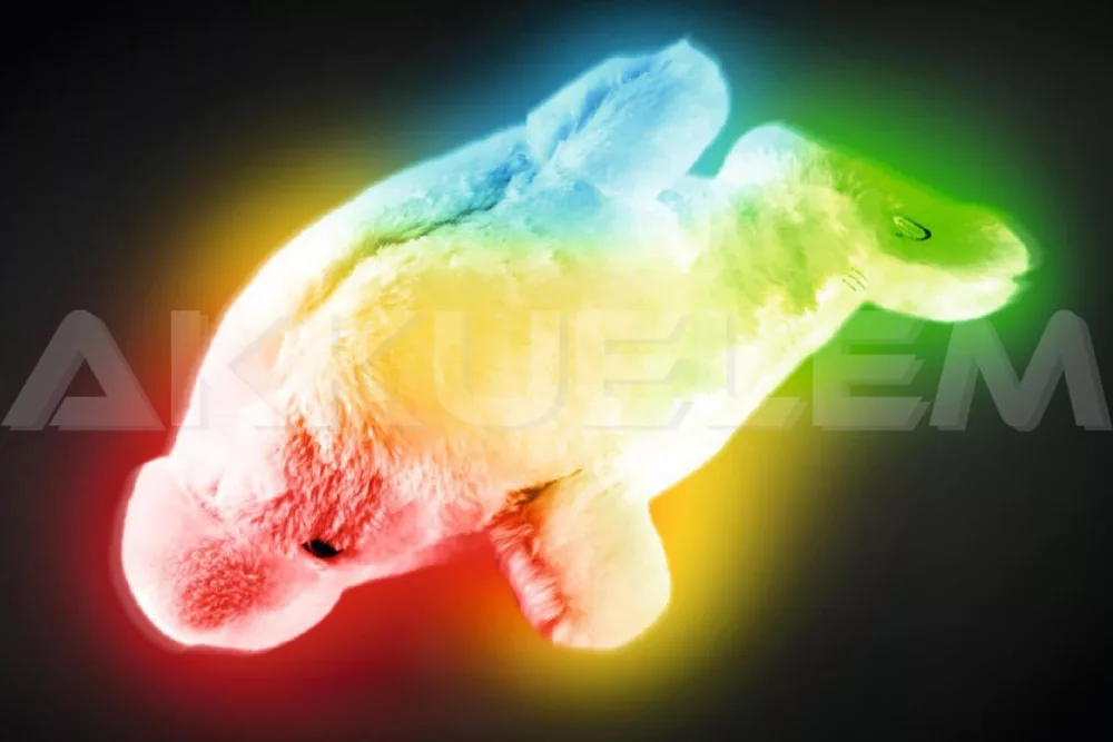 Delfin PLÜSS éjszakai fény 8LED